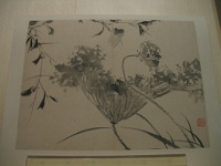 2009 China 295
